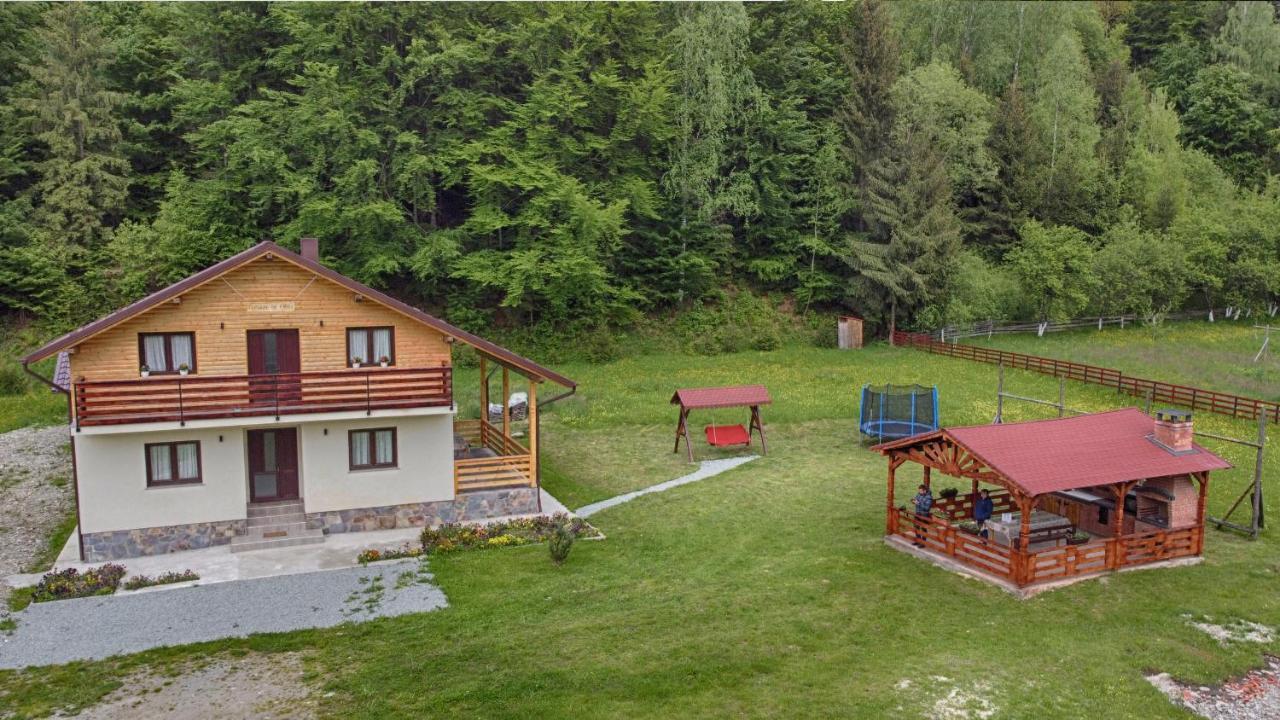 Pensiunea Floare De Colt Moisei Exterior foto